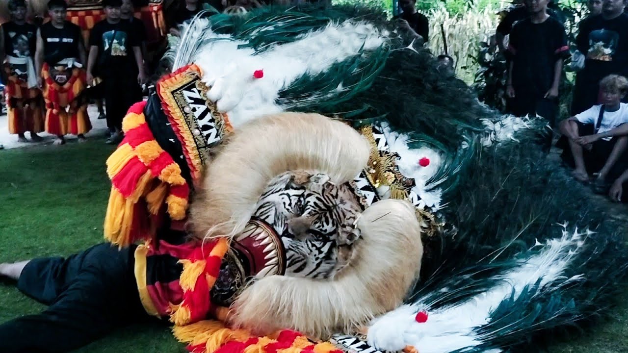 BARONGAN REOG PONOROGO TERBESAR GEGERKAN DESA WOTAN