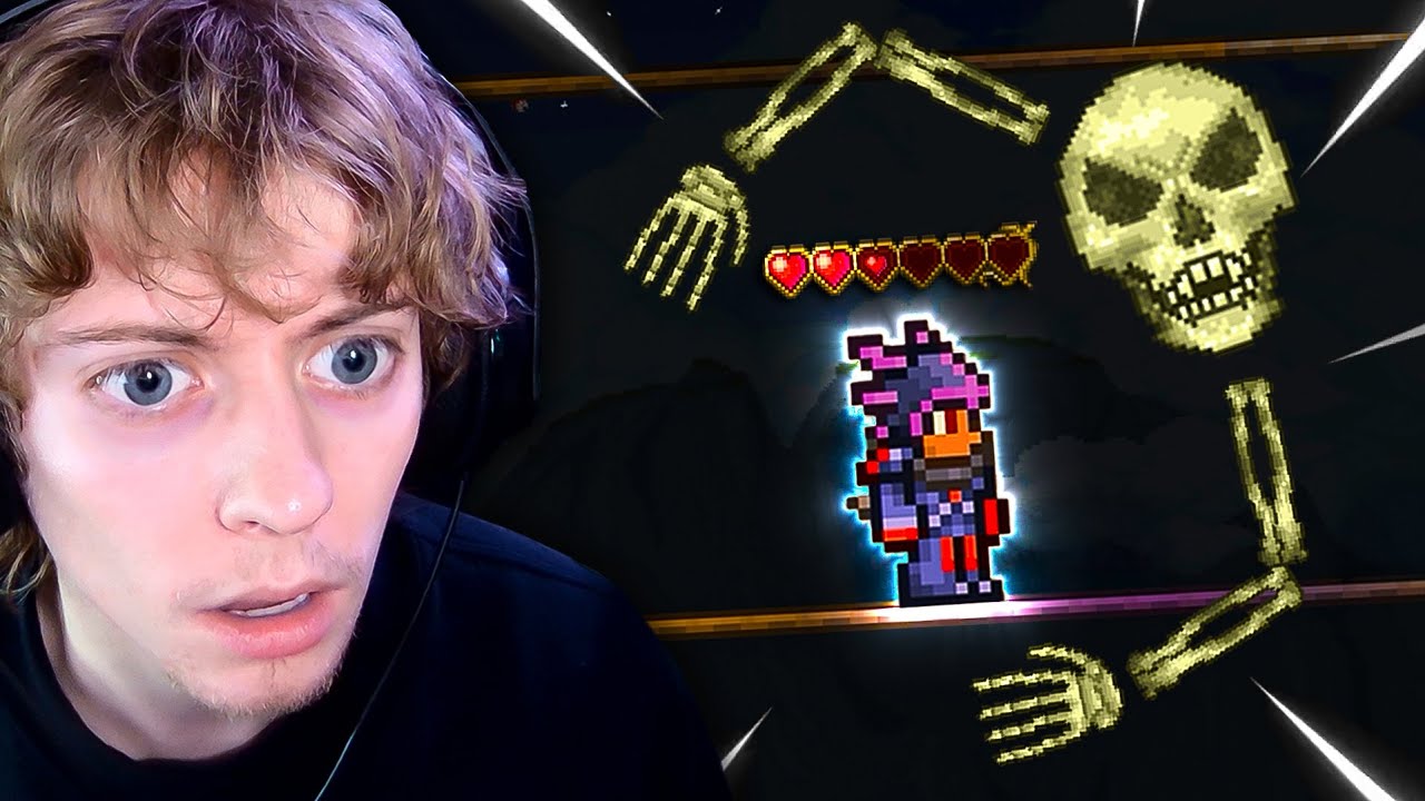 I Lost My Mind Fighting Skeletron | Terraria