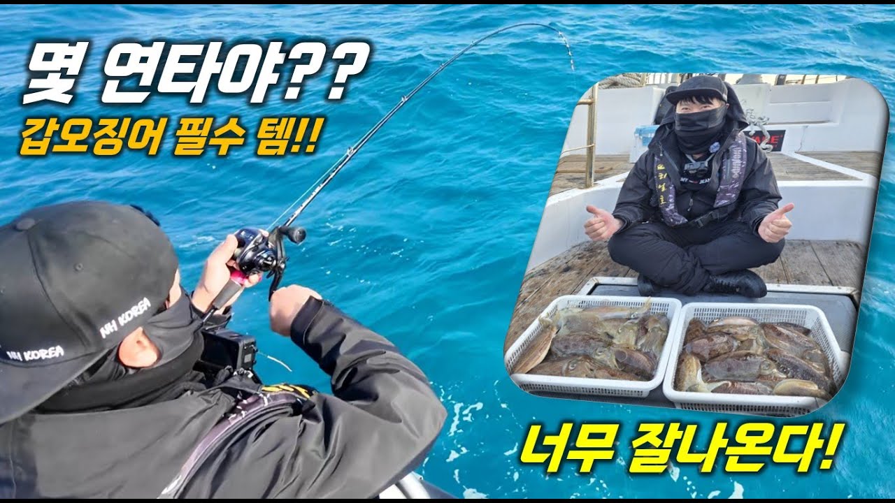 갑오징어가 끊이지 않고 올라온다! 테클박스 에기가 다 사라졌습니다...