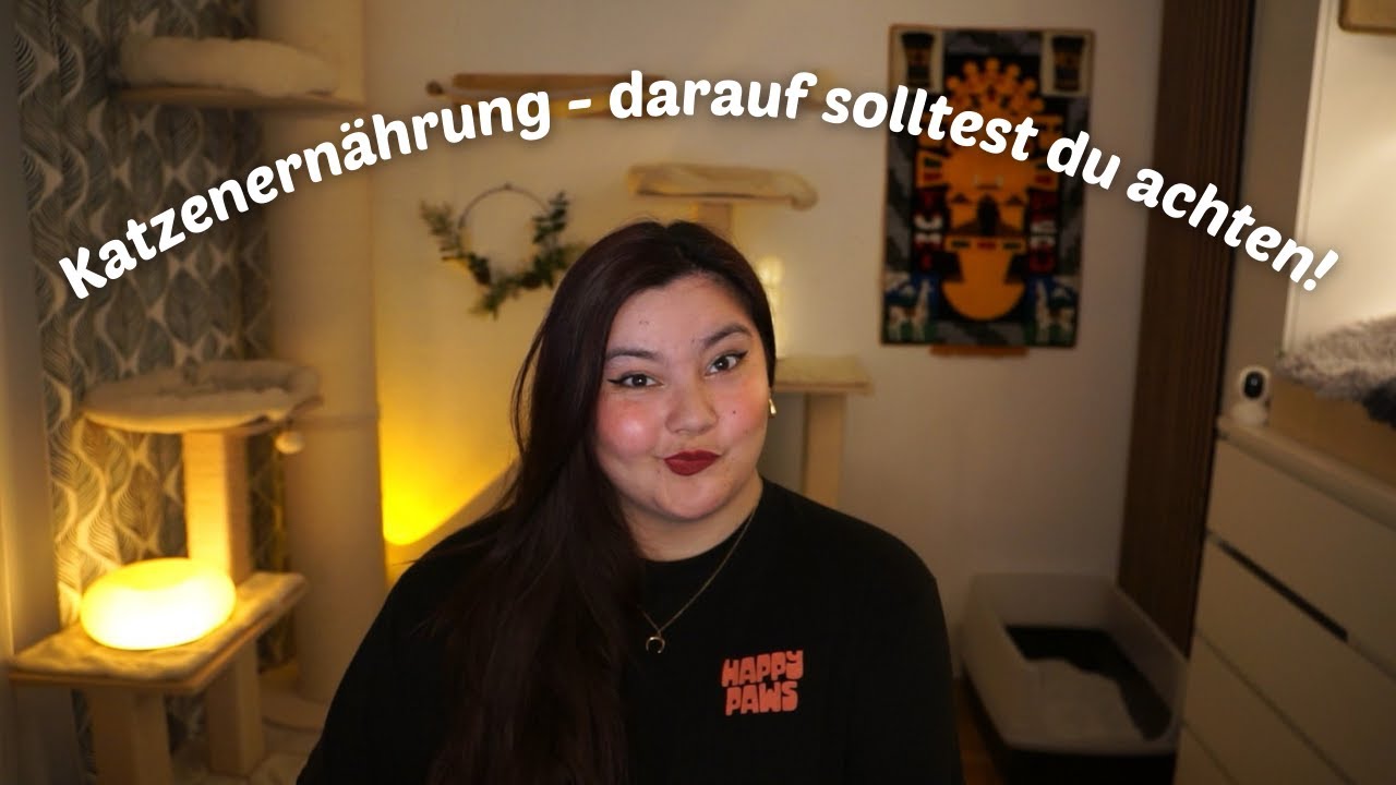 Katzenernährung - darauf solltest du achten! | CatWissen