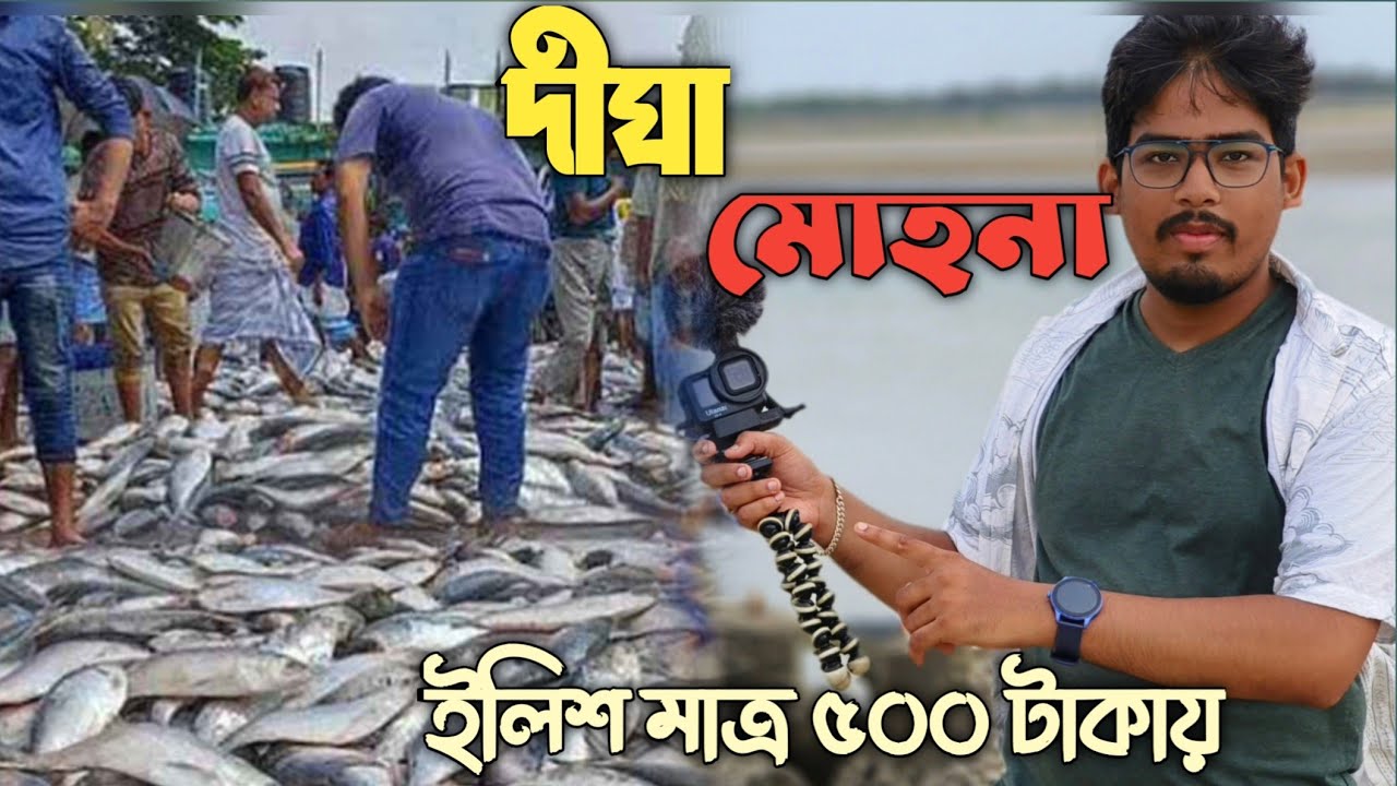 Digha Mohona | Digha Mohona Fish Market | Digha Wholesale Fish Market | মোহনাতে ইলিশ মাত্র 500 টাকা