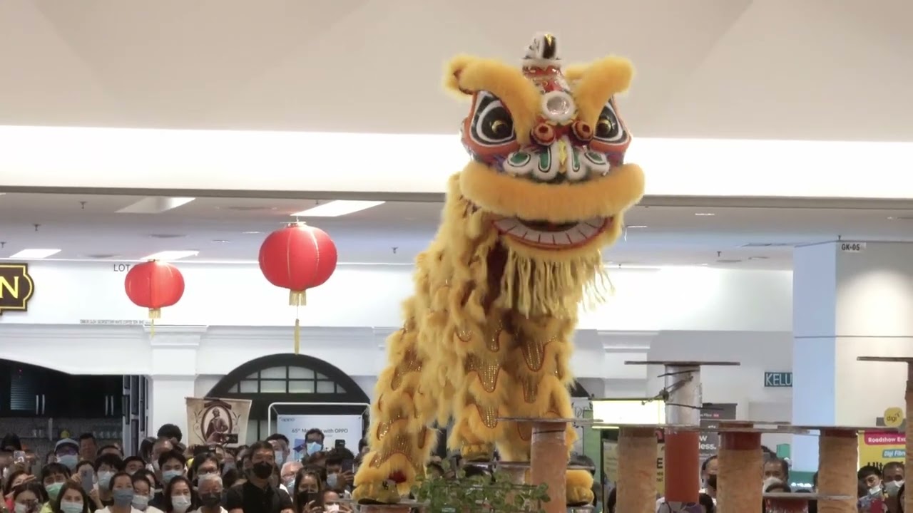 Acrobatic Lion Dance - Indonesia FOBI Kong Ha Hong Lion Dance Troupe - 印尼廣肇江夏堂龍獅團