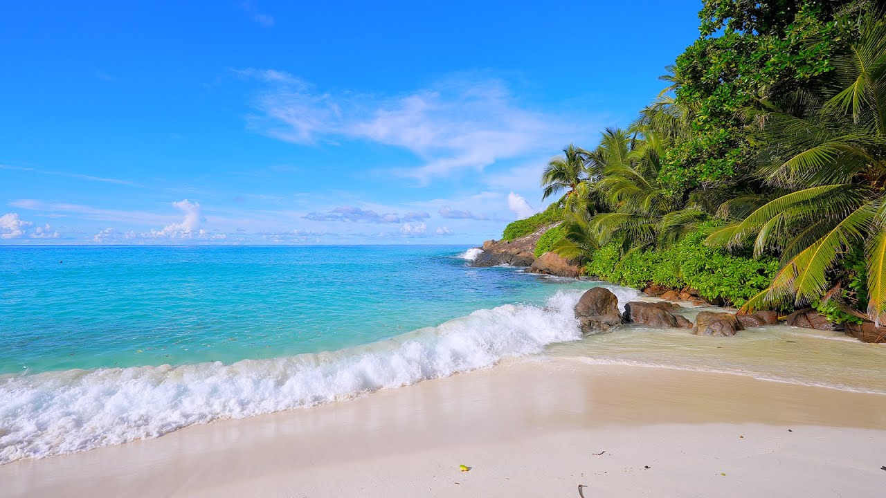 🏝 Seychelles  Shoals: The Most Relaxing Waves in The World