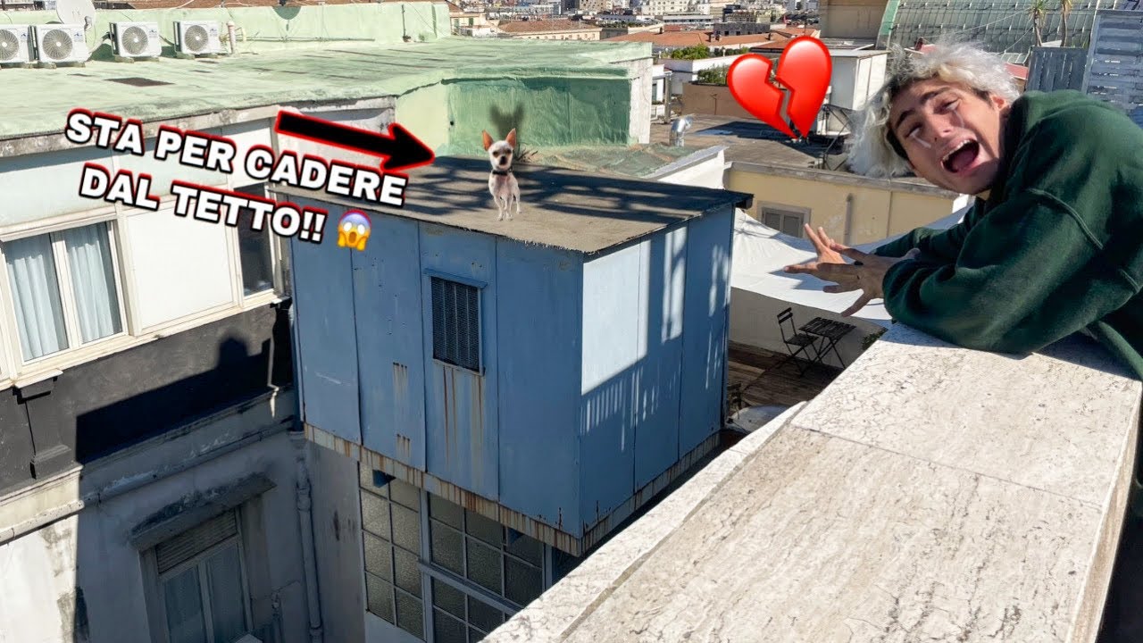 IL NOSTRO CAGNOLINO È RIMASTO BLOCCATO SUL TETTO DI UN PALAZZO!! *ADDIO*