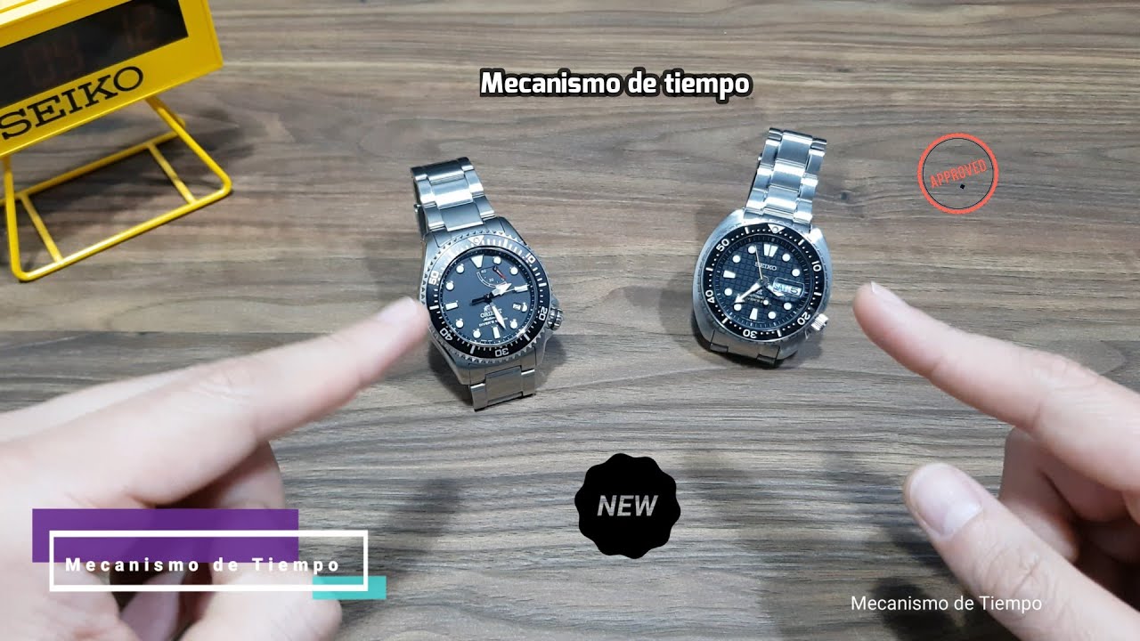 ¿Cuál es mejor? Batalla Orient Triton o Neptuno vs Seiko Rey Tortuga (King Turtle)