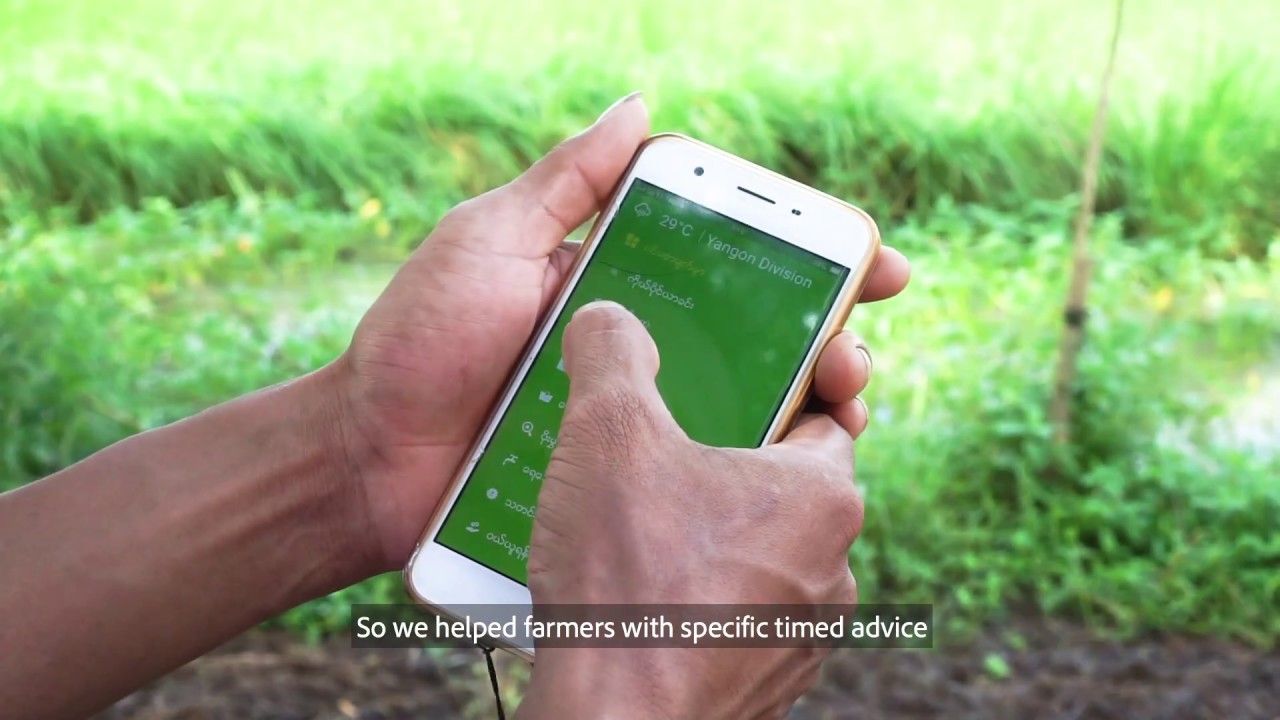 Impact Terra - Digitally empowering farmers in Myanmar