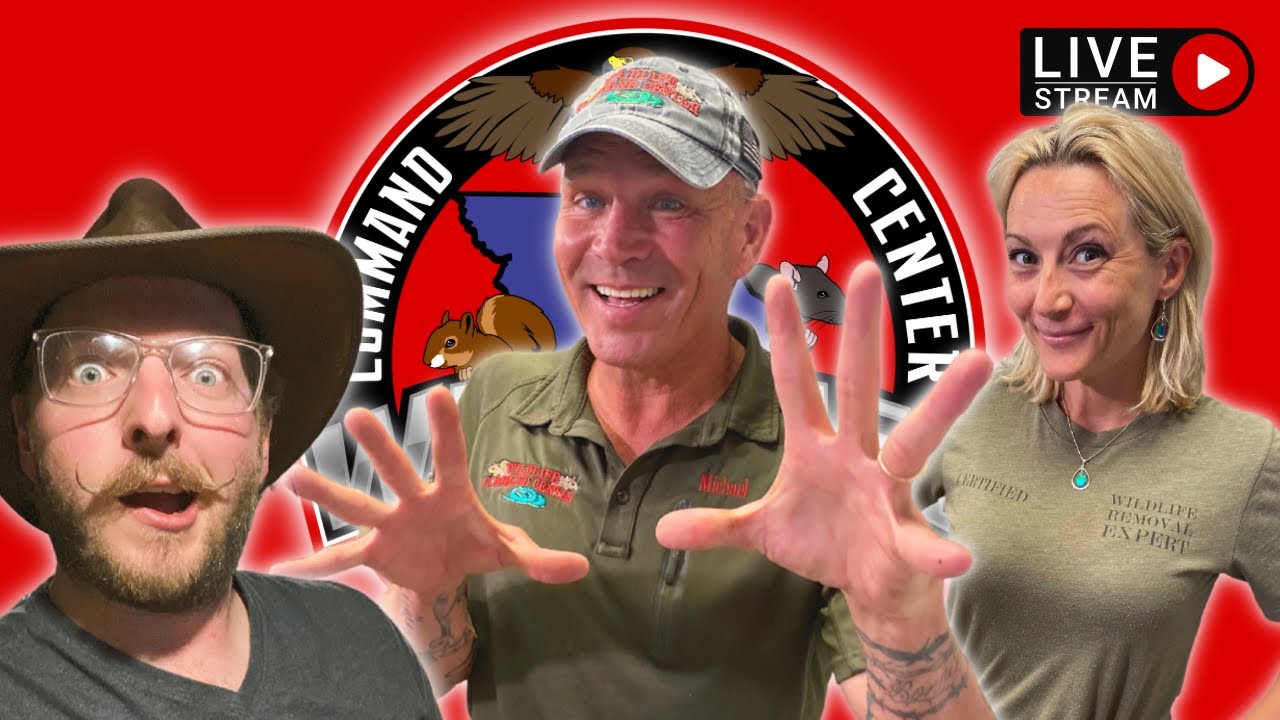 Animal Expert Bare Hands Beran LIVE at Wildlife Command Center!!