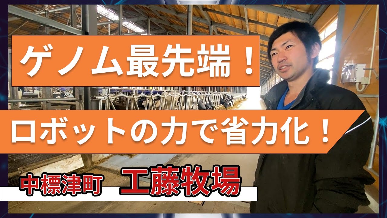 【ゲノム＋ロボット】一台60頭搾乳を実現した工藤牧場の牛群管理を徹底解剖！