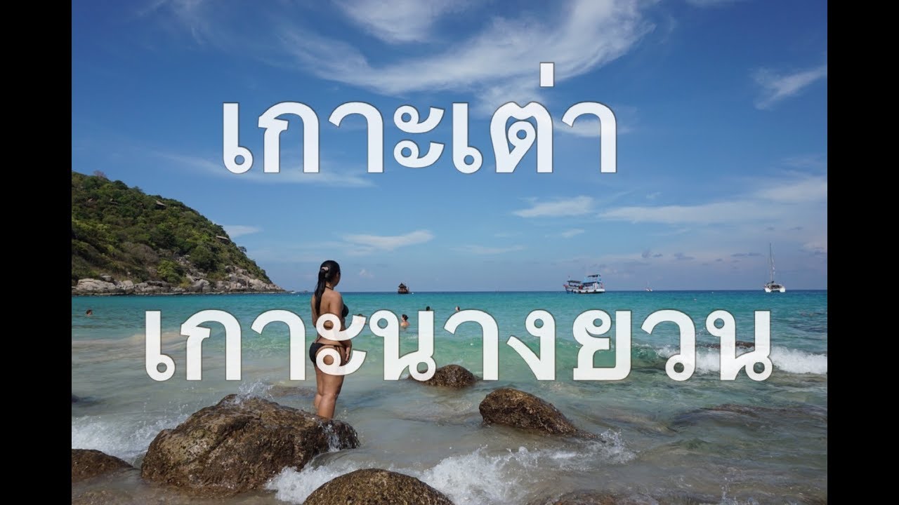 เกาะเต่า เกาะนางยวน | Tapaewable Travel Time