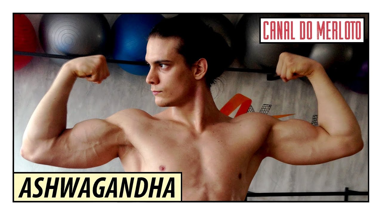 ASHWAGANDHA AUMENTA A TESTOSTERONA NATURALMENTE?