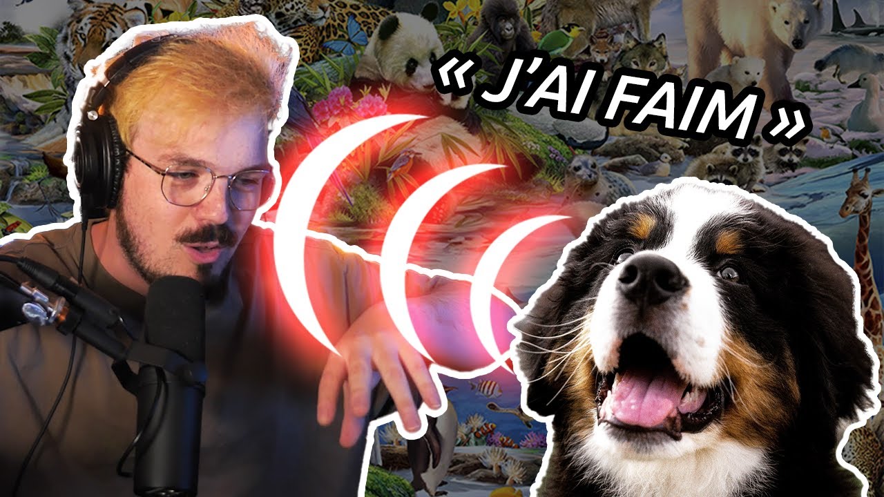 Je commence à croire que la télépathie n'existe pas... (partie 2)