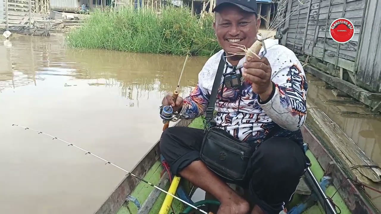 Memang luar biasa udang di sungai kahayan ini‼️