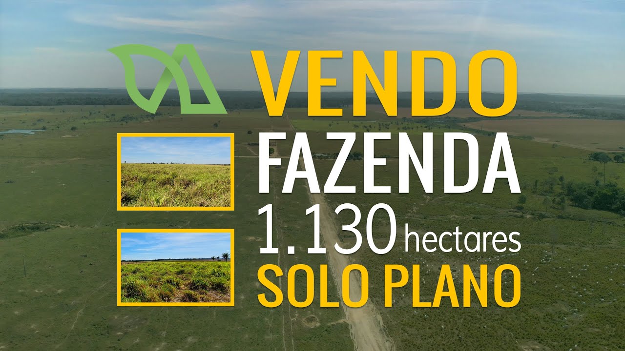 Novo WHATSAPP (66)992491098, FAZENDA PLANA PERFEITA, 1.134 hectares - Novo Mundo/MT