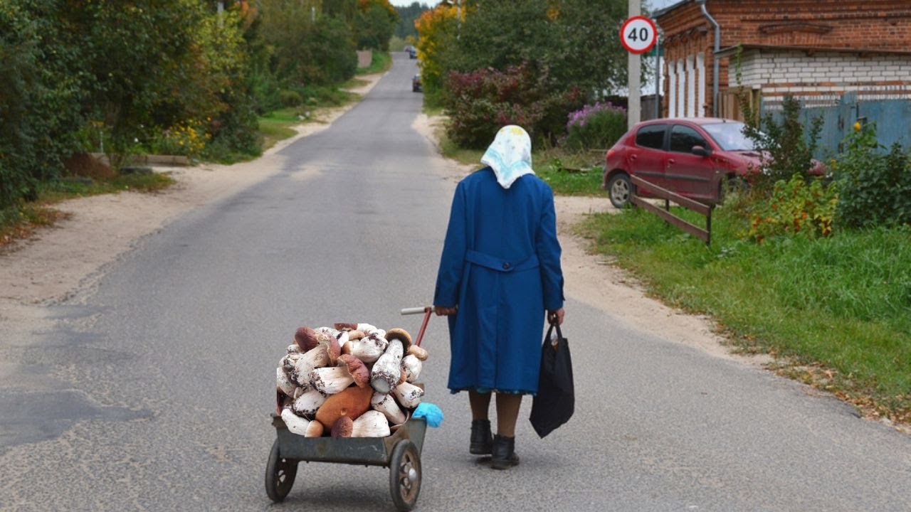 КРАСИВЫЕ ГРИБЫ, ГРИБНОЙ СУП