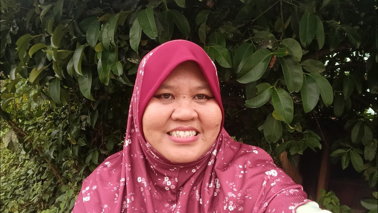 PETIK BUAH SI HITAM MANIS DI KEBUN ORANG ‼️‼️