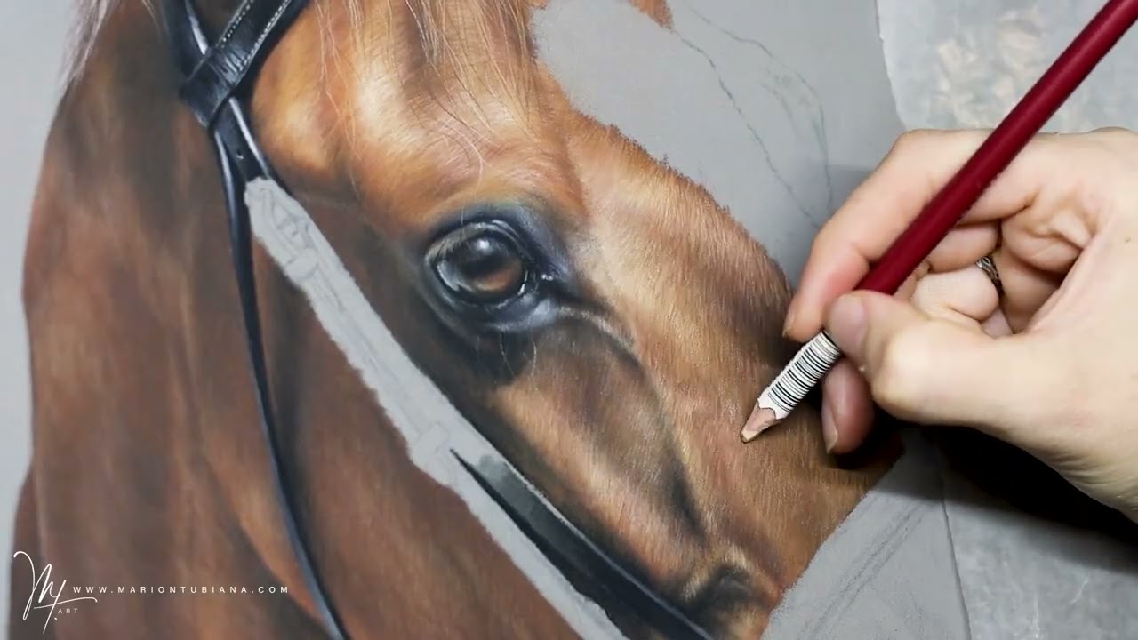 Cheval alezan aux pastels par Marion Tubiana