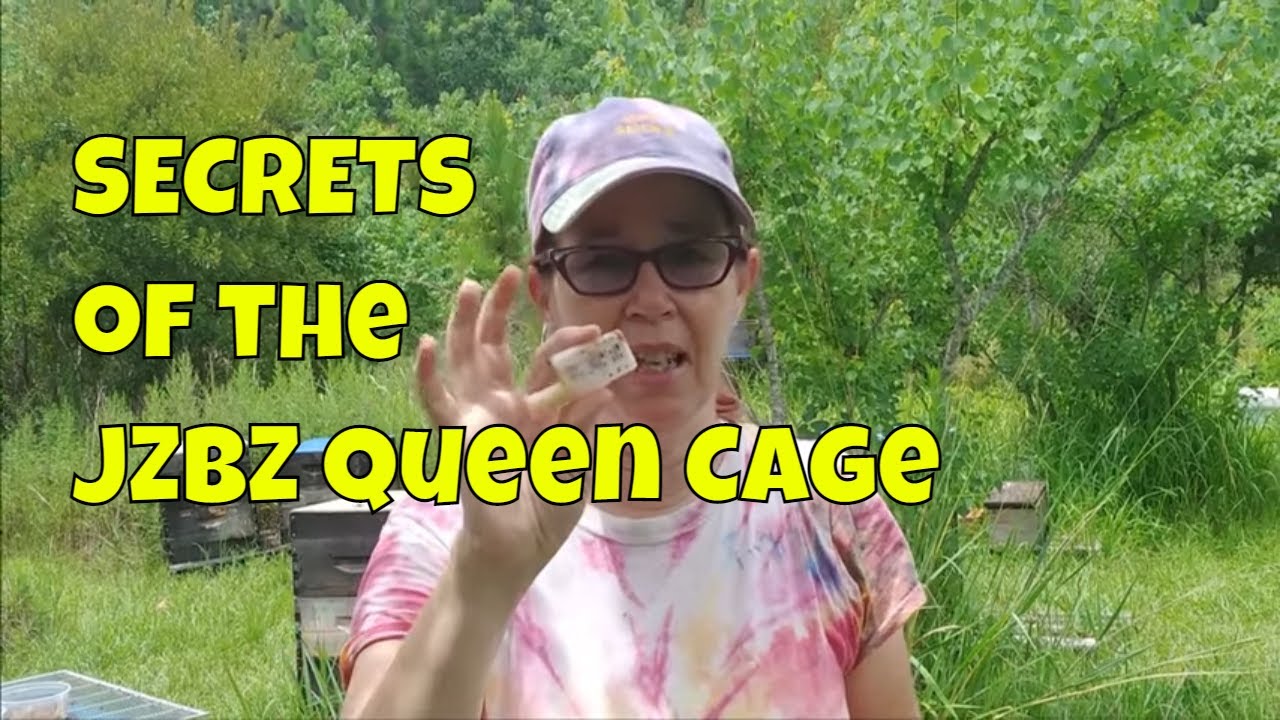 ☯️  The Secret to the JZBZ QUEEN CAGE #queenbee