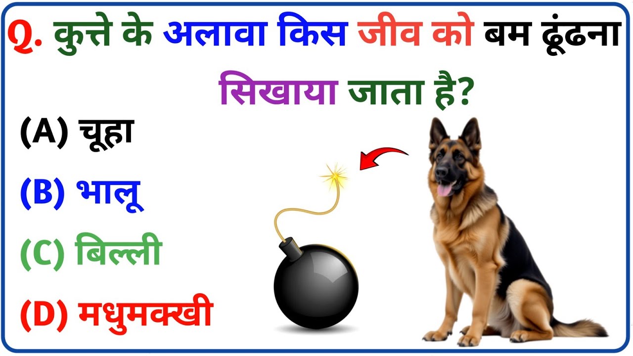 GK Question || GK In Hindi || GK Questions and Answers || GK Quiz || GK || GK Guru India ||