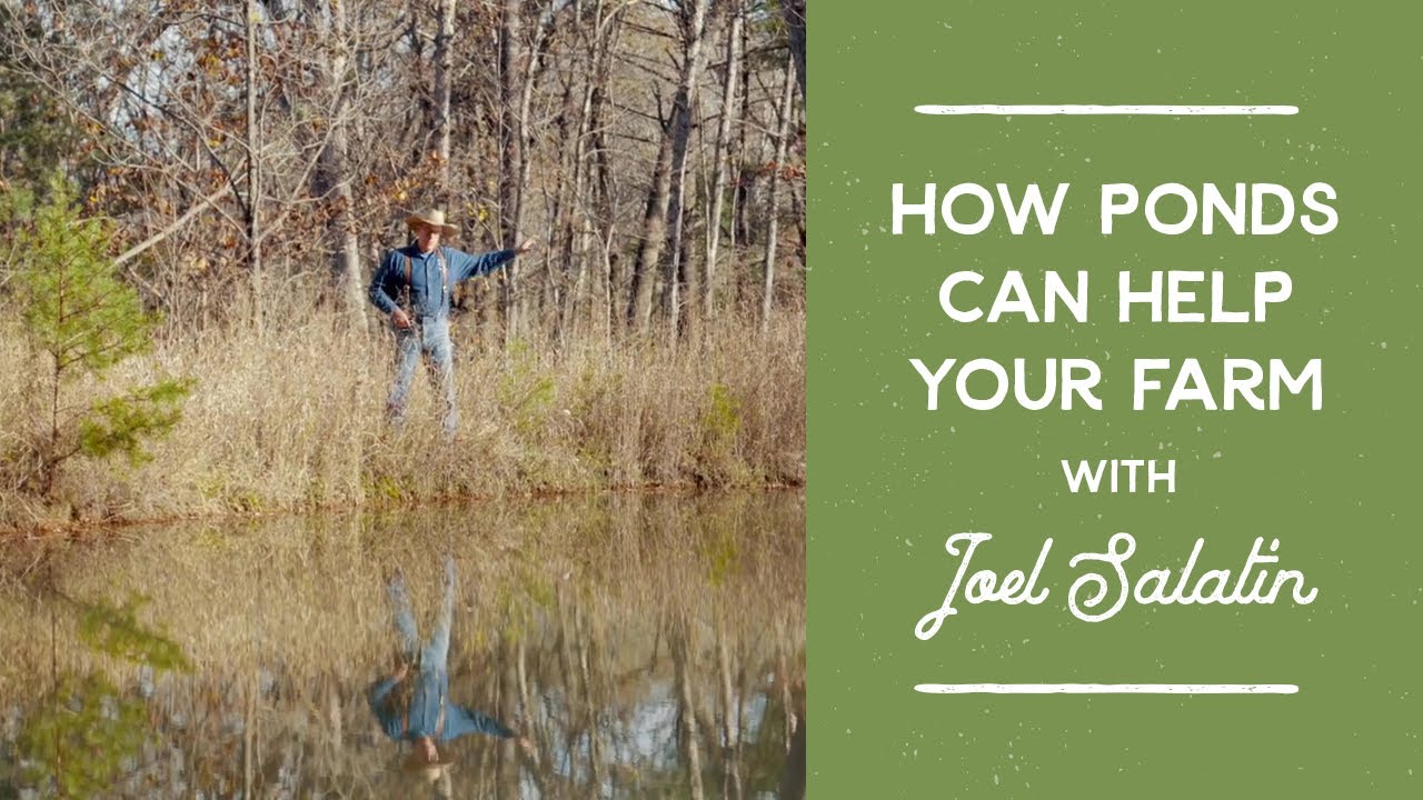 Как пруд может значительно улучшить вашу ферму | Джоэл Салатин