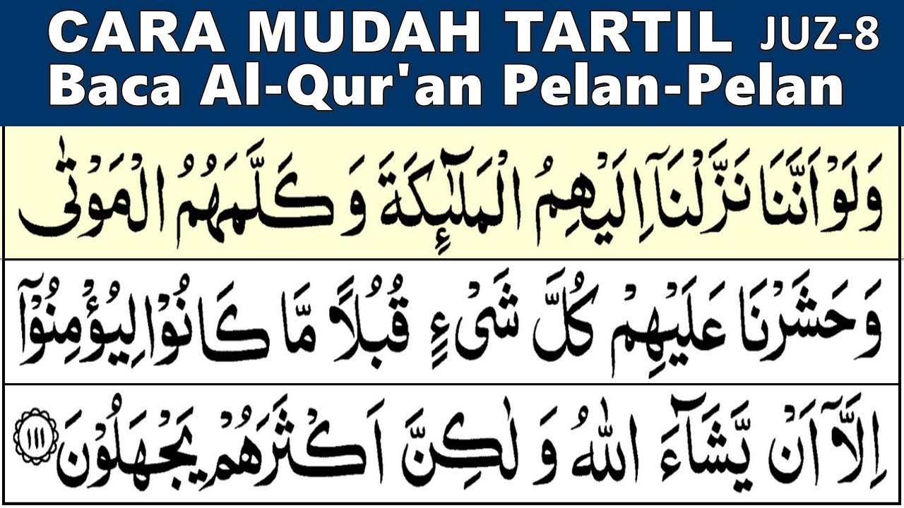 BELAJAR MENGAJI QURAN JUZ 8 LENGKAP Pelan-Pelan