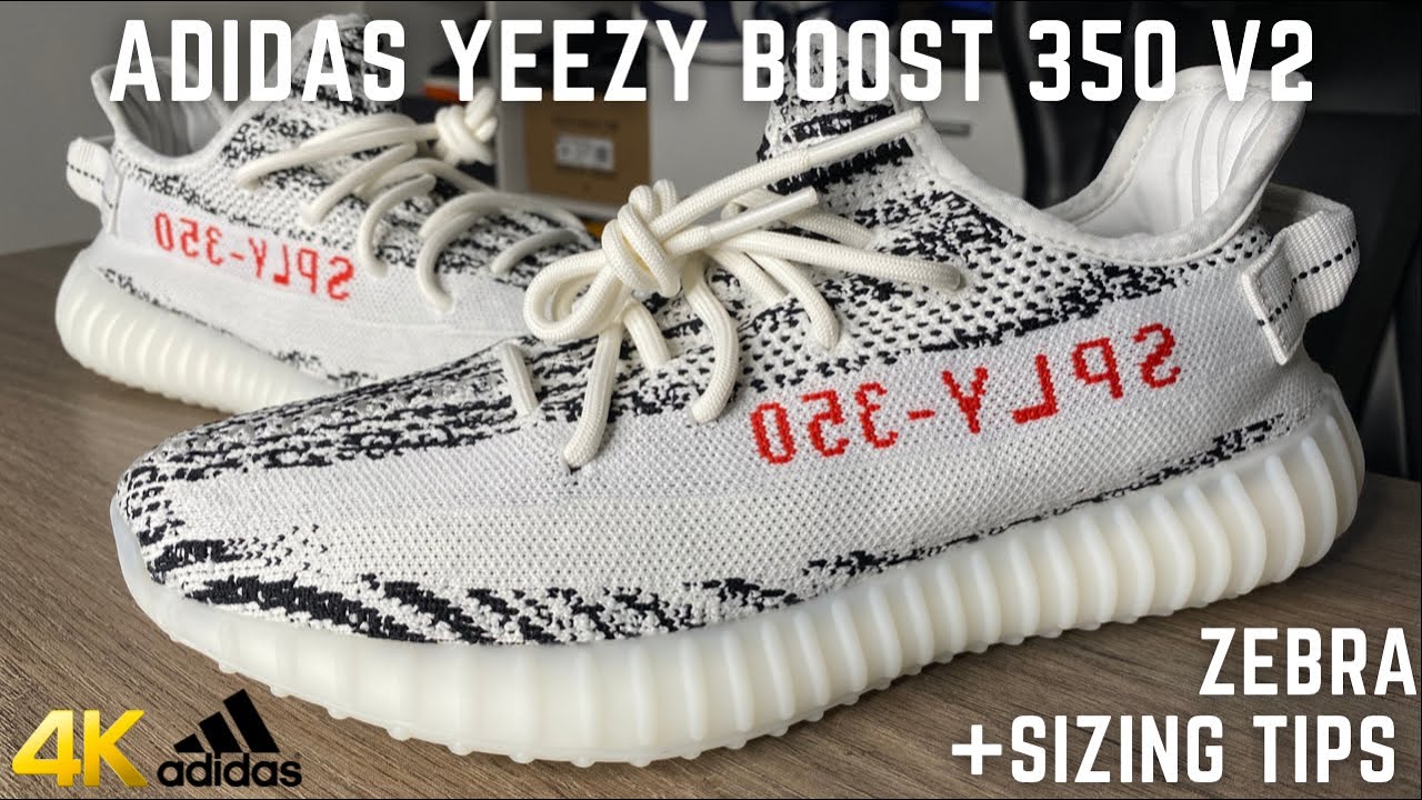 Adidas Yeezy 350 V2 Zebra (2022) On Feet Review