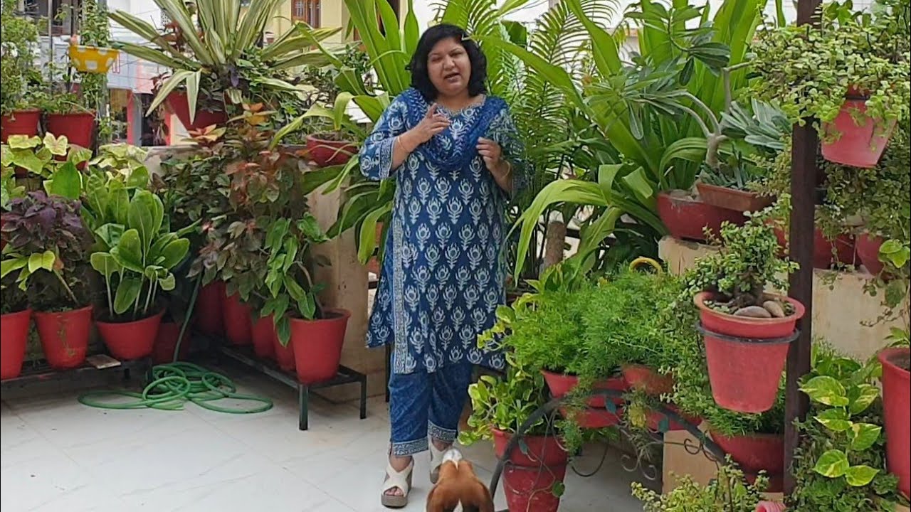 Garden Overview Monsoon 2021 || Fun Gardening