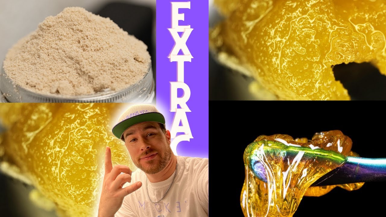 WEED Creater Reacting to CRAZY MACRO EXTRACT PHOTOGRAPHY!