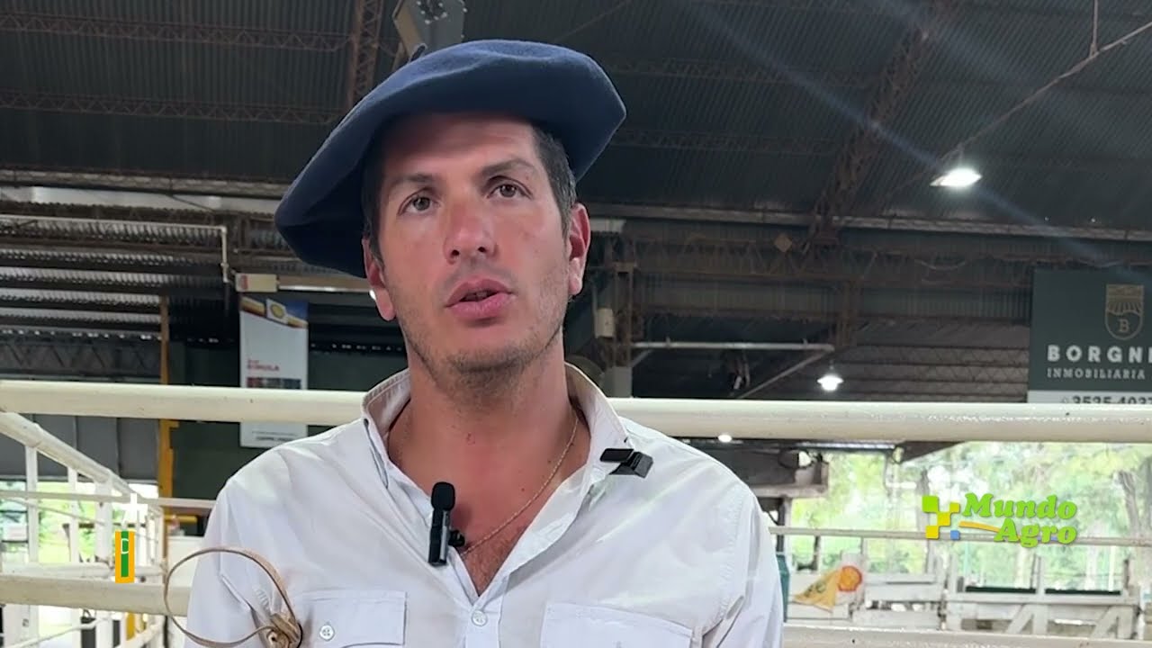 💠🐮REMATE CONSIGNACIONES: Leve BAJA en los precios para la HACIENDA de consumo y en la invernada