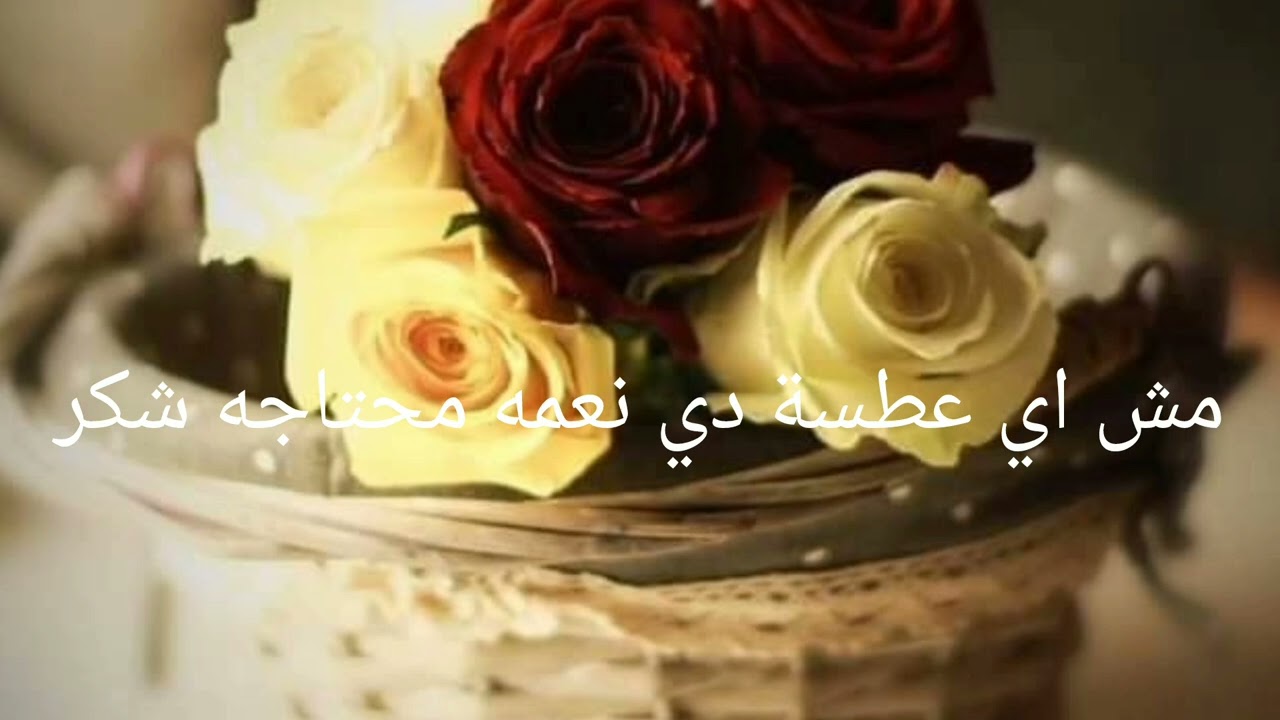 لو ما قلتش الحمد لله بعد العطس في حاجه مهمه بتضيع منك