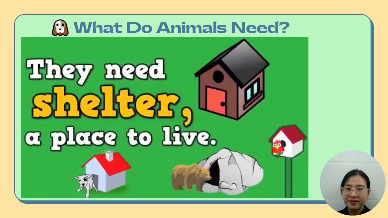 Science - The Basic Needs of Plants & Animals
