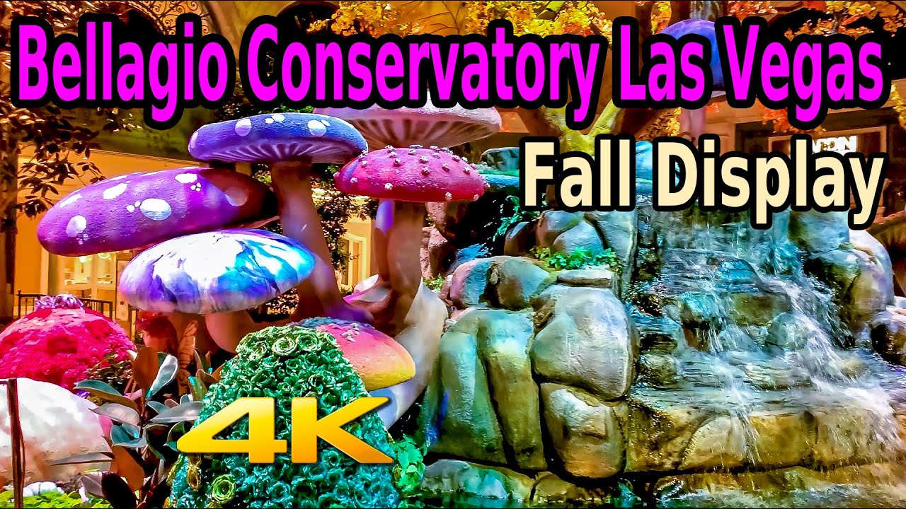 BELLAGIO LAS VEGAS STRIP CONSERVATORY FALL DISPLAY AT NIGHT WALKING TOUR in 4K