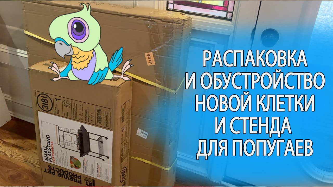 ОБЗОР И ОПТИМАЛЬНОЕ ОБУСТРОЙСТВО КЛЕТКИ И СТЕНДА  ДЛЯ ПОПУГАЕВ