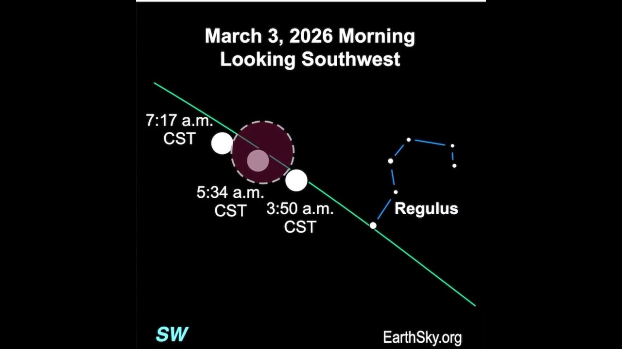Total Lunar Eclipse Overnight On March 2-3!