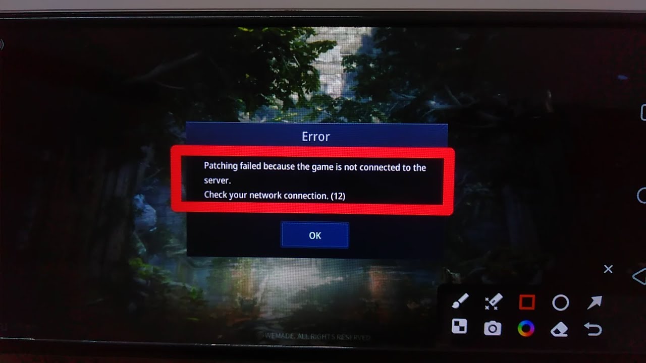 Patching failed because the game is not connected to the server Check your network connection (12)