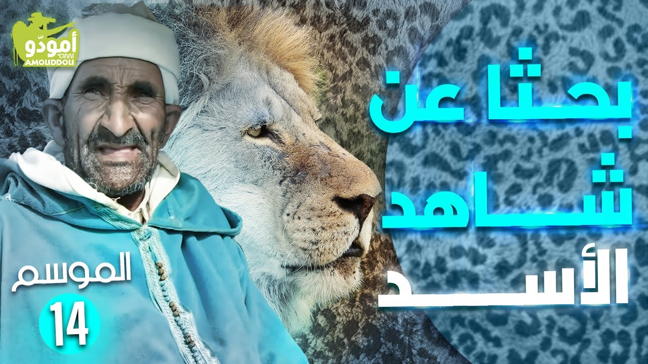 أمودّو 197  | بحثاً عن شاهد الأسد ✅