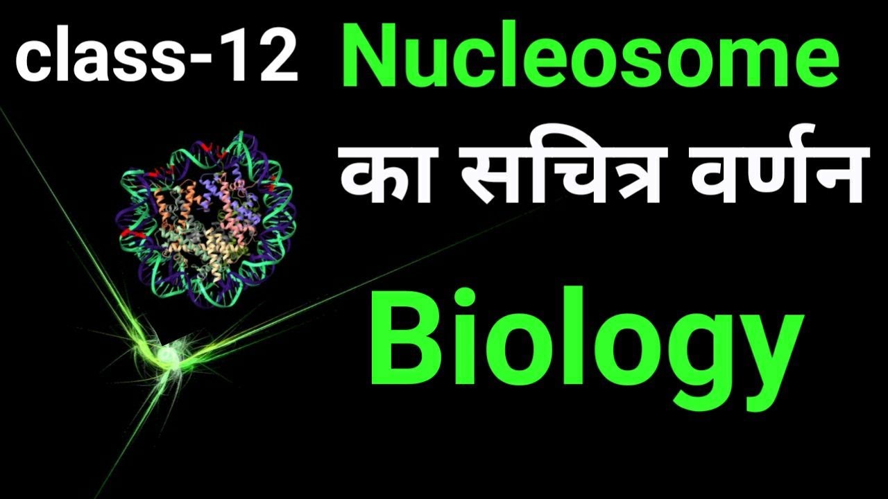 Nucleosome Ka Sankshipt Varnan | Nucleosome Structure | What is nucleosome in biology |12TH BIOLOGY