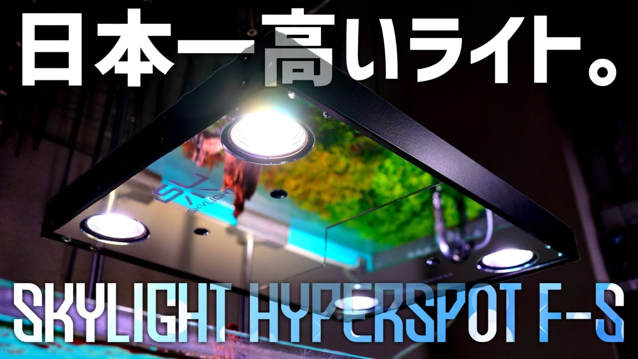 これのために水槽完成させました。全てが規格外の超高額RGBライトを超々徹底レビュー！SKYLIGHT HYPERSPOT F-S#697【アクアリウム】