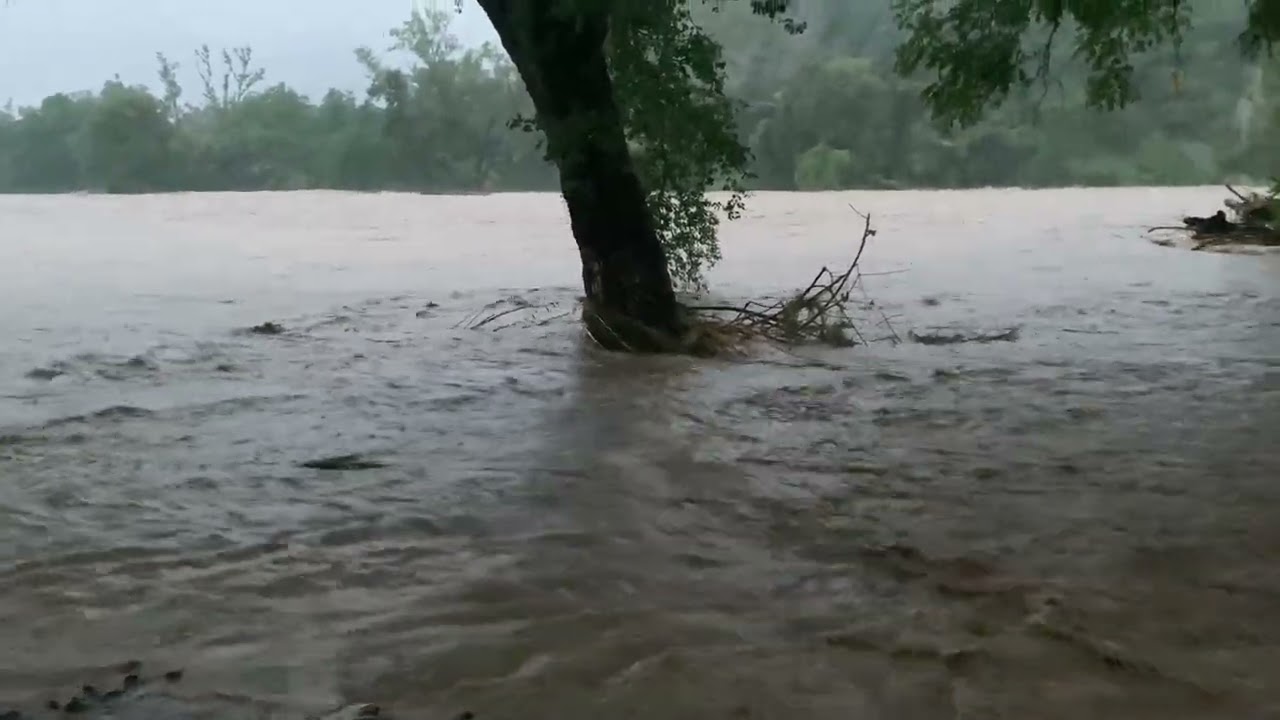 IMPRESIONANTE ASÍ SE VE EL RÍO DE ATLAPEXCO, HGO!! Intensas lluvias azotan a la Huasteca.⛈️🌬️🌳
