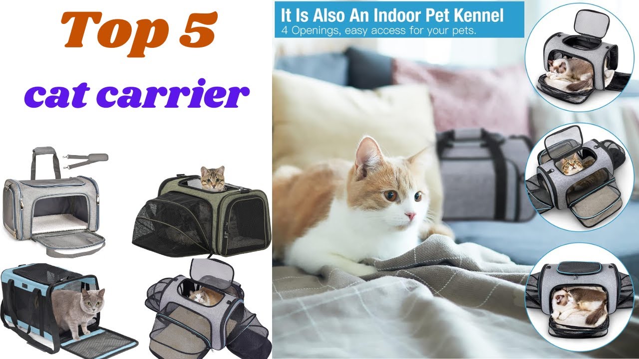 Discover the Best Cat Carriers on Amazon for a Stress-Free Kitty!