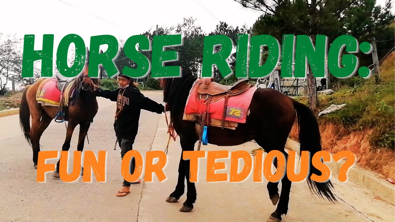 HORSE RIDING IN BAGUIO CITY |  WRIGHT PARK TO MARLBORO COUNTRY AND BACK