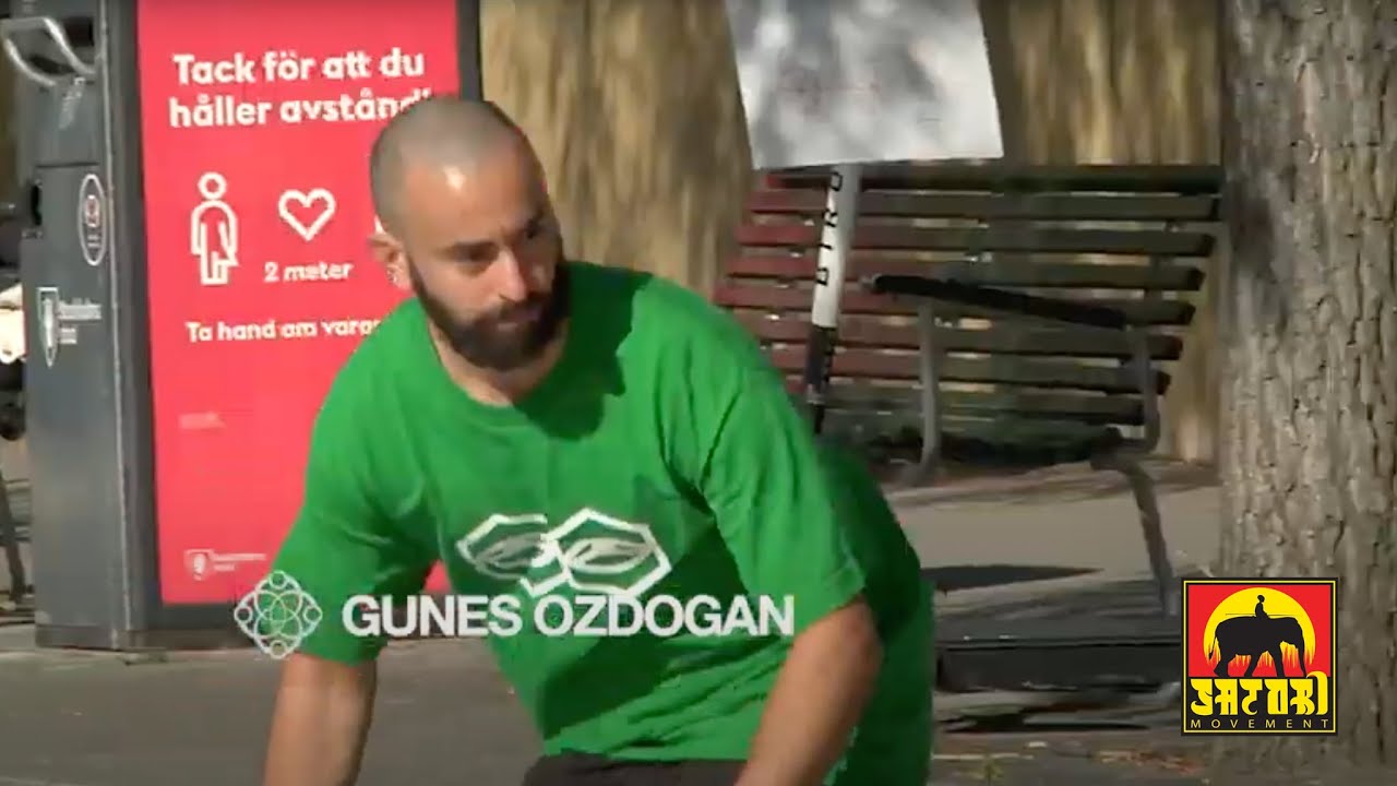 Gunes Ozdogan - Welcome to Satori