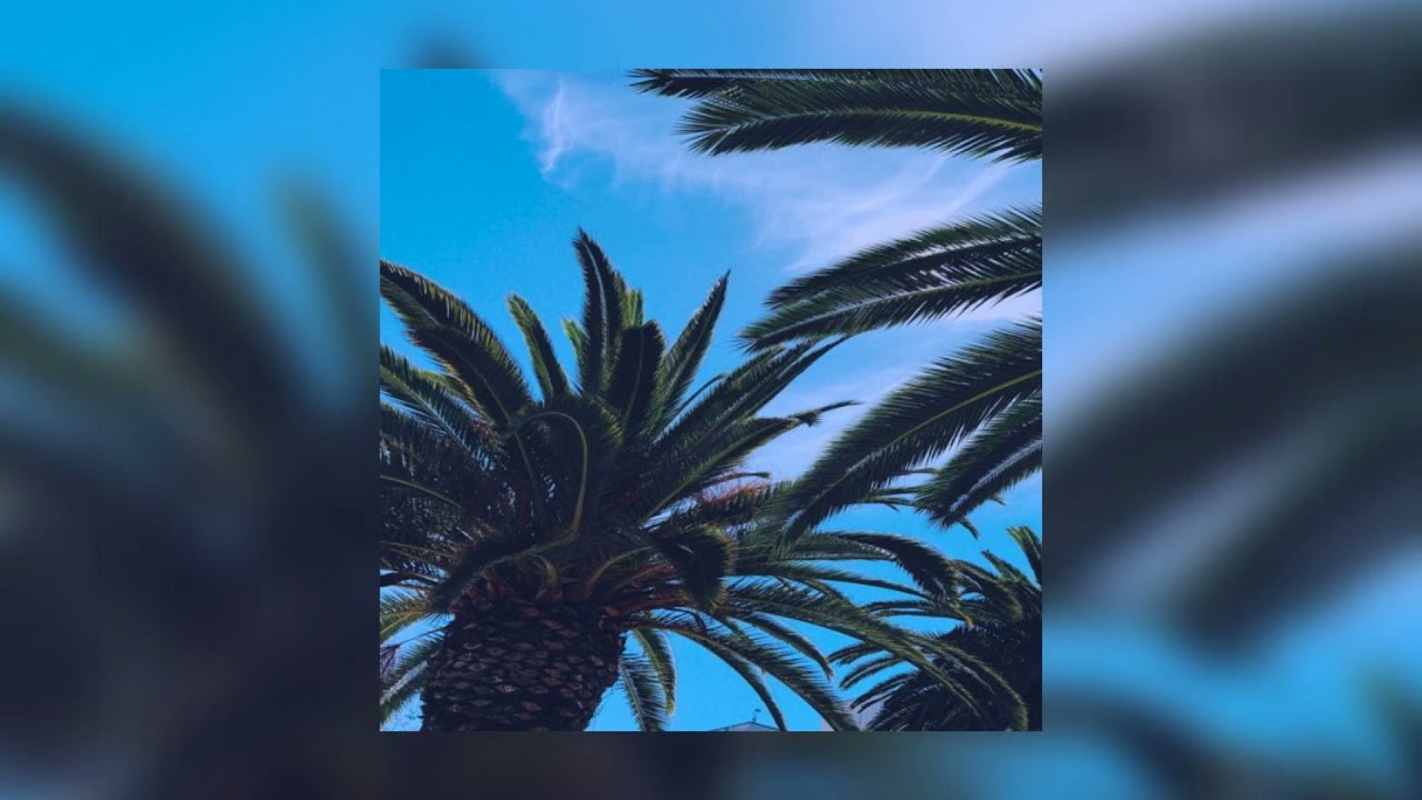 [FREE] EDM x Dancehall type beat 2021 | Pop x Dancehall type beat 2021 ~ Aloha (prod. DripBeats)