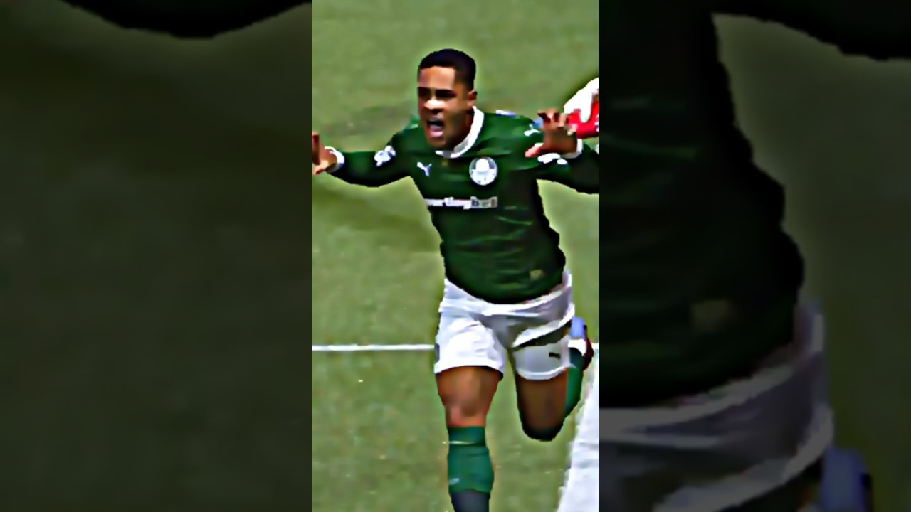 Palmeiras 3 x 1 River Plate! #futebol #palmeiras #riverplate #libertadores #musica