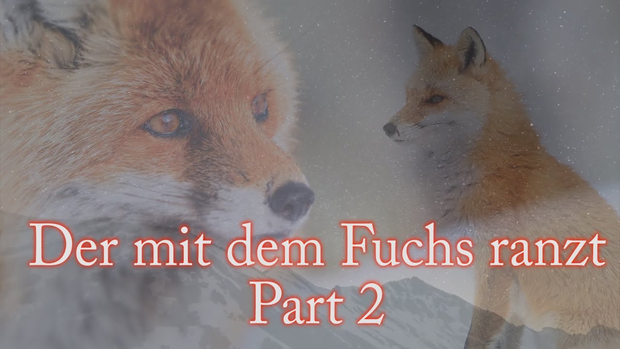 Der mit dem Fuchs ranzt- Part 2