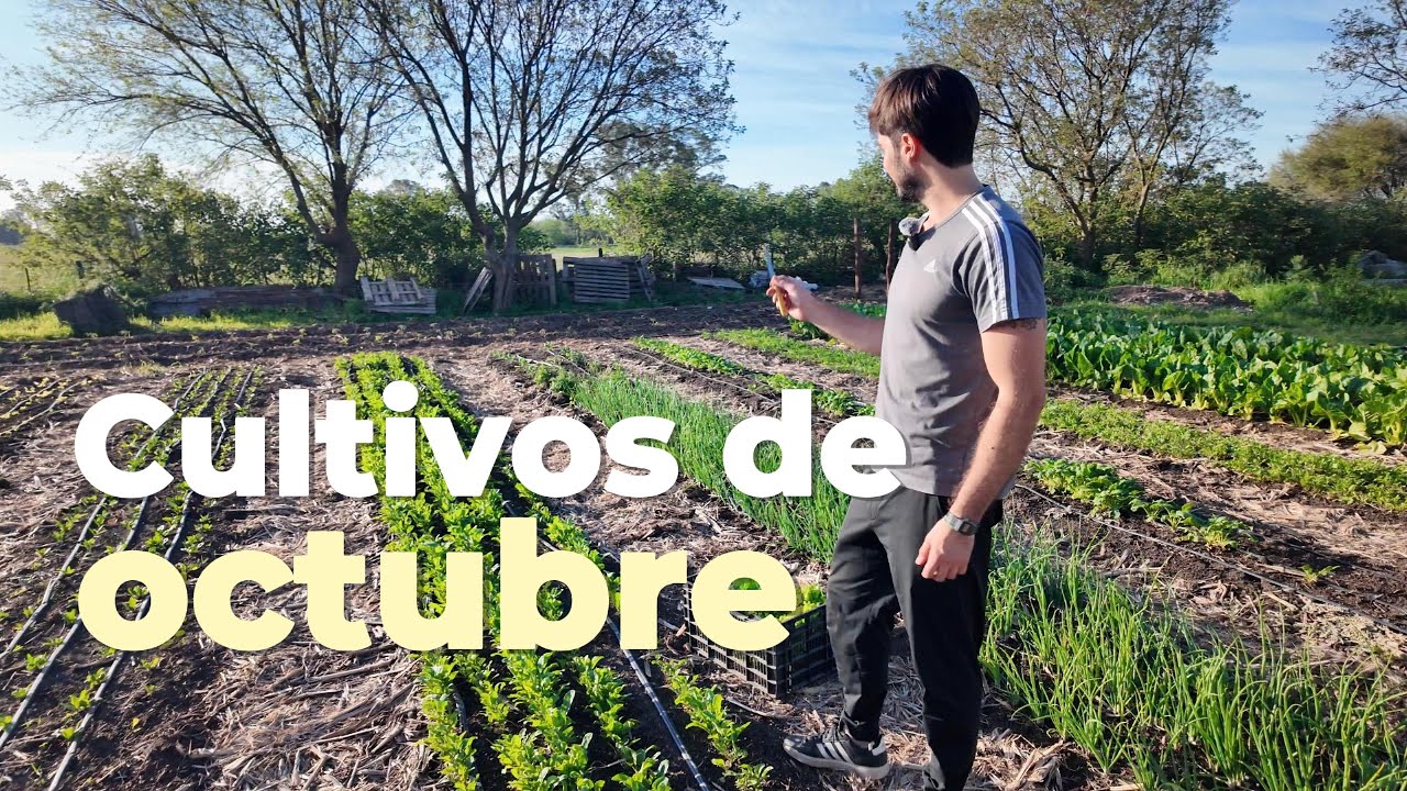 Cultivos de octubre | huerta agroecológica Argentina 🇦🇷