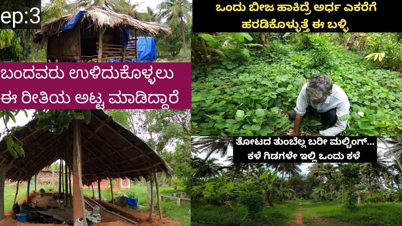ಭೂಮಿಯ ಮುಚ್ಚಿಗೆಗೆ ಇವರು ಹಾಕಿರುವ ಬಳ್ಳಿ ಎಷ್ಟು ಚೆನ್ನಾಗಿದೆ... ಹಾಗೂ ಇವರ ತೋಟದ ತುಂಬೆಲ್ಲ ಕಳೆ ಮತ್ತು ಗಿಡ ಮರಗಳಿಂದ
