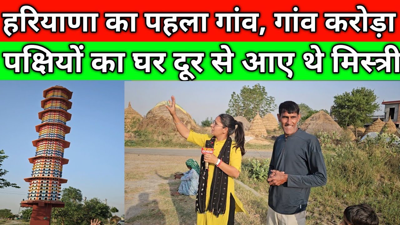 हरियाणा का पहला गांव, जिसमे है पक्षियों का घर, 7 मंजिल दूर से आए थे मिस्त्री, गांव करोड़ा कैथल