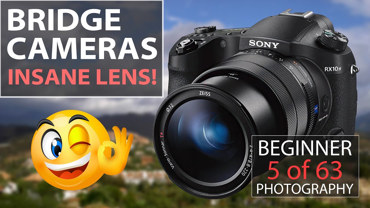 Bridge Cameras - What Are They, Do You Need One and Why? This Beast of a Lens is Why! - Lesson  5