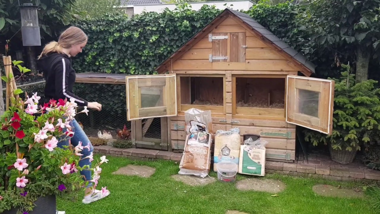 🐔🐥Serama's 🐥🐓got a clean🏛 chickencoop🏛