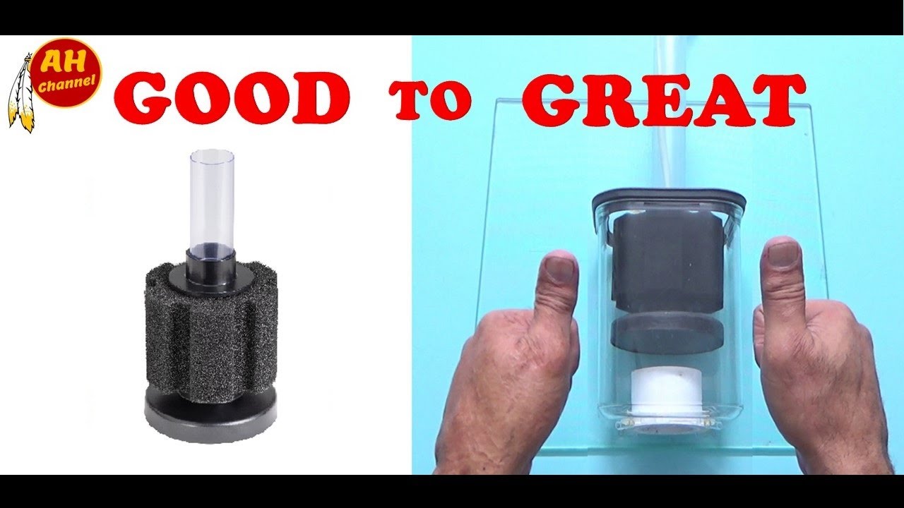 Sponge Filter make it GREAT